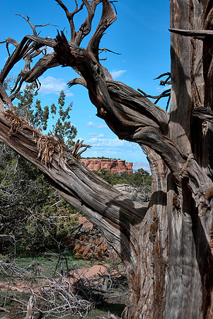 Colorado National Monument