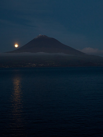 Farewell Pico