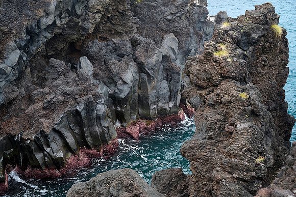 Rugged Coast