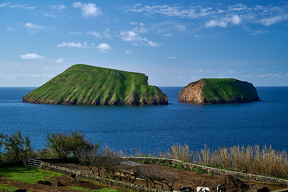 Goat Islands