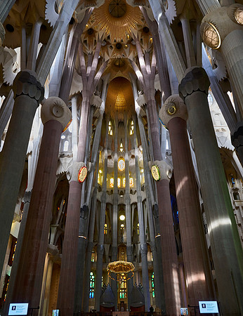 Chancel Forest