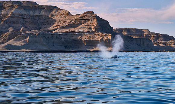 Spouting Off