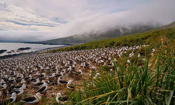 As Far as the Eye Can See