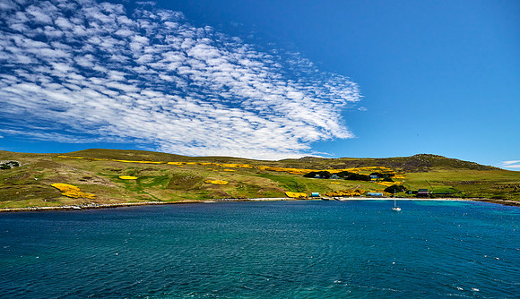 Last Stop in Falklands
