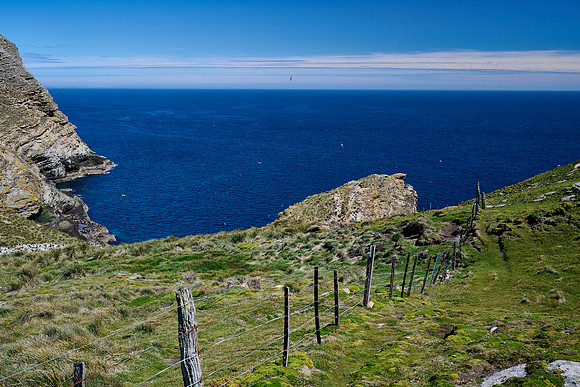 Albatross Refuge