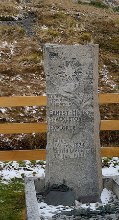Shackleton's Grave