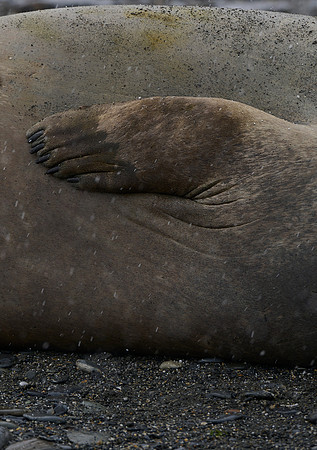 Time For a Manicure