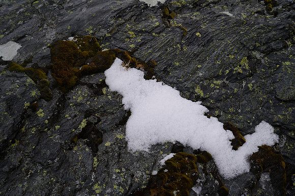 Texture