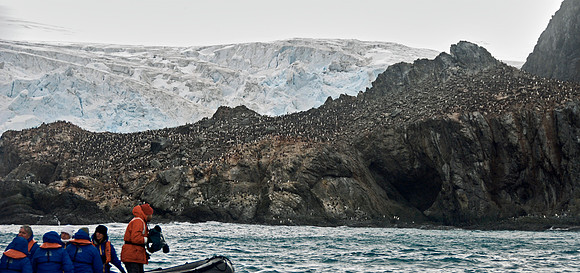 Elephant Island, Antarctica
