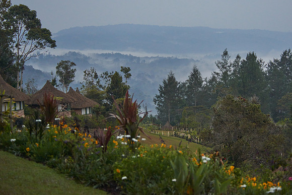Ambua Lodge (Tari Highlands)