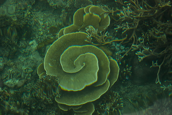 Kabui Underwater