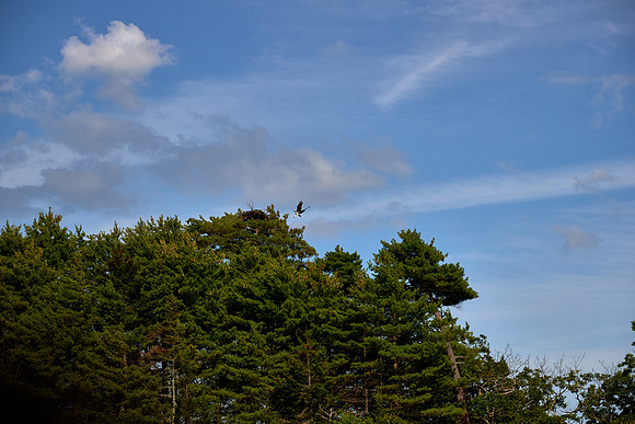 Final Approach