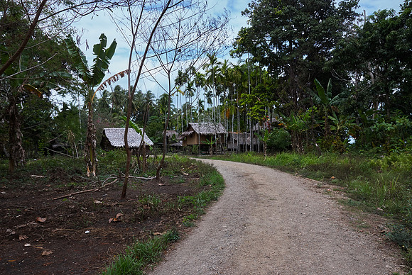 Fergusson Village