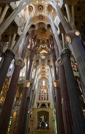 Choir Forest