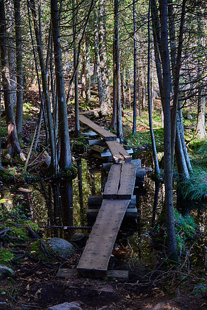 Lower Norumbega Trail
