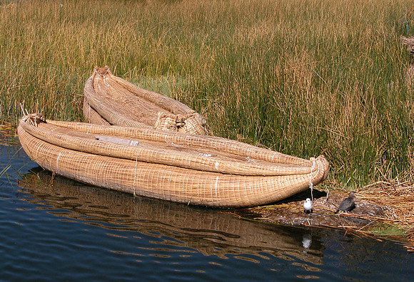 Reed Boats