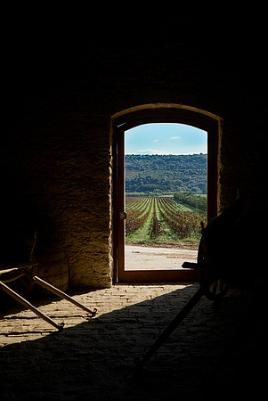 Vineyard Portal