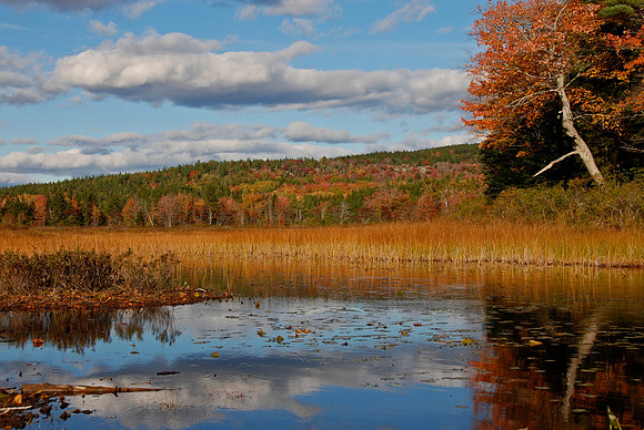 The Tarn
