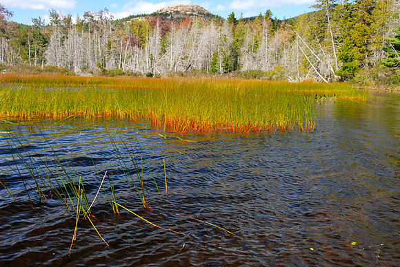 Lower Hadlock Pond