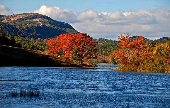 Long Pond Colors