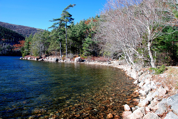 Jordan Pond Shoreline