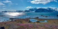 Svalbard
