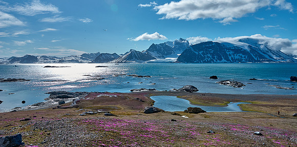 Consummate Hornsund