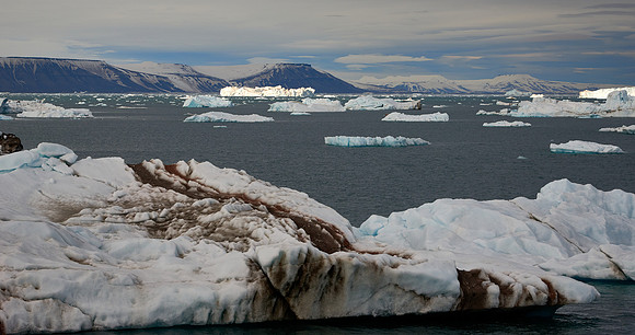 Iceberg Illuminated