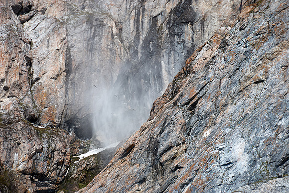 Avalanche!!