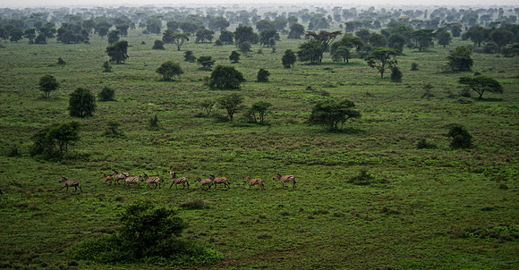Vast Serengeti