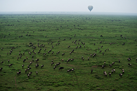 As Far As the Eye Can See