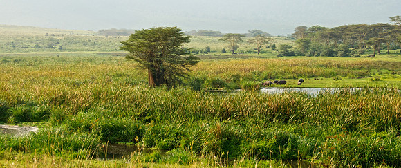 Ngorongoro Vista