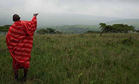 Maasai Chief