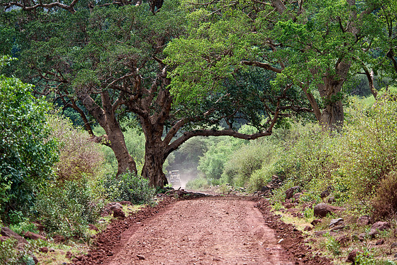 Exploring Manyara