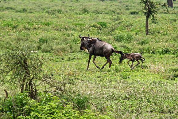 3 Minutes Old