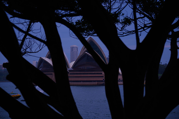 Opera House - Dusk