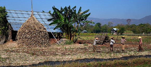 Farming on the Shore