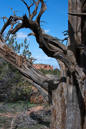 Mesa Framed - Monument Canyon