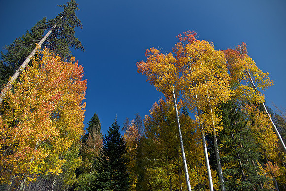 Kenosha Pass Colors