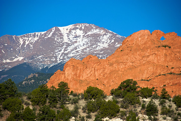 Purple Mountain's Majesty