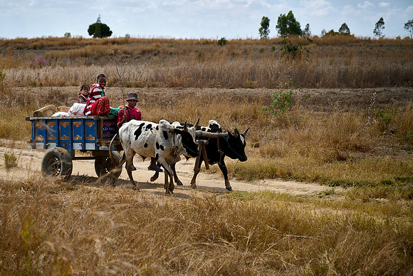 Typical Transport