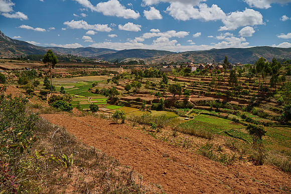 More Terraces