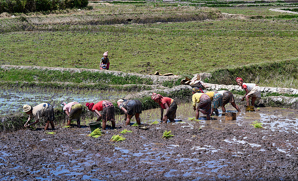 It Takes a Village
