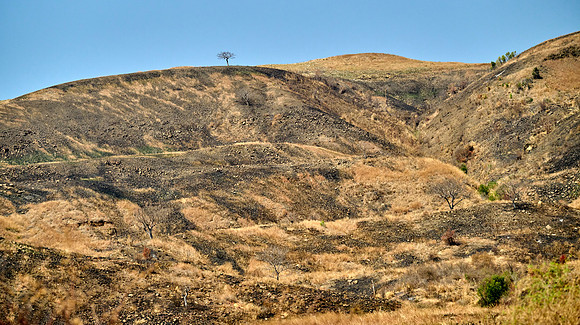 Slash & Burn