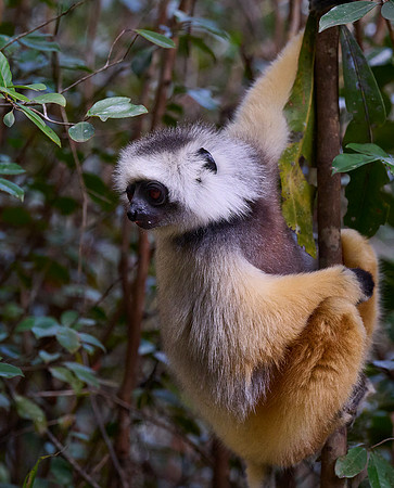 Hanging Out