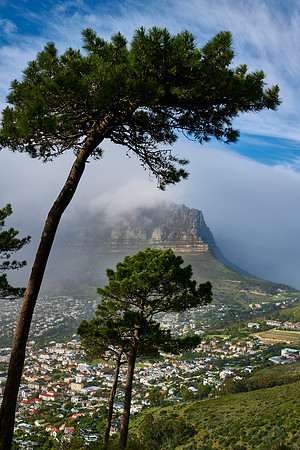 From Lion's Head