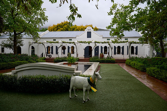 Fairview Vineyards