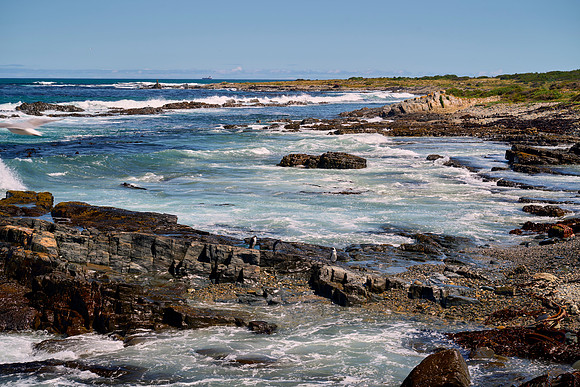 Farewell Robben Island