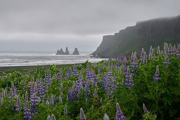 Reynisdrangar Sea Stacks