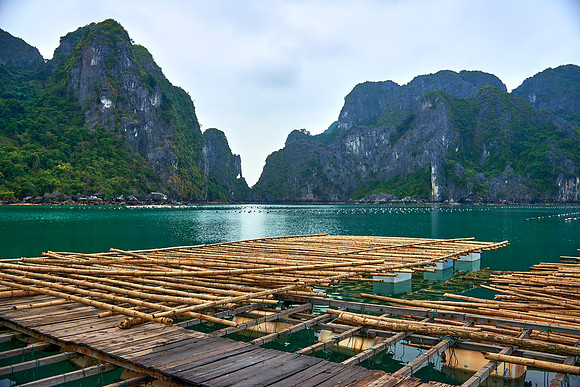 Pearl Farm